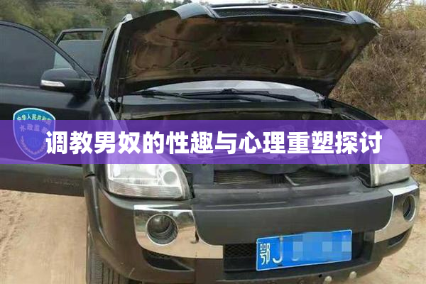 调教男奴的性趣与心理重塑探讨