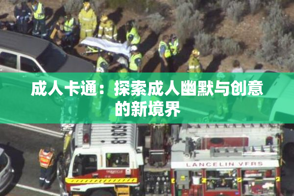 成人卡通：探索成人幽默与创意的新境界