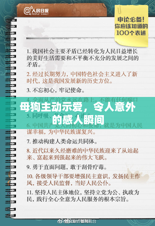 母狗主动示爱，令人意外的感人瞬间