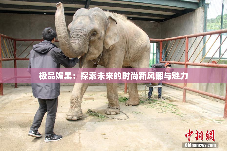 极品媚黑：探索未来的时尚新风潮与魅力