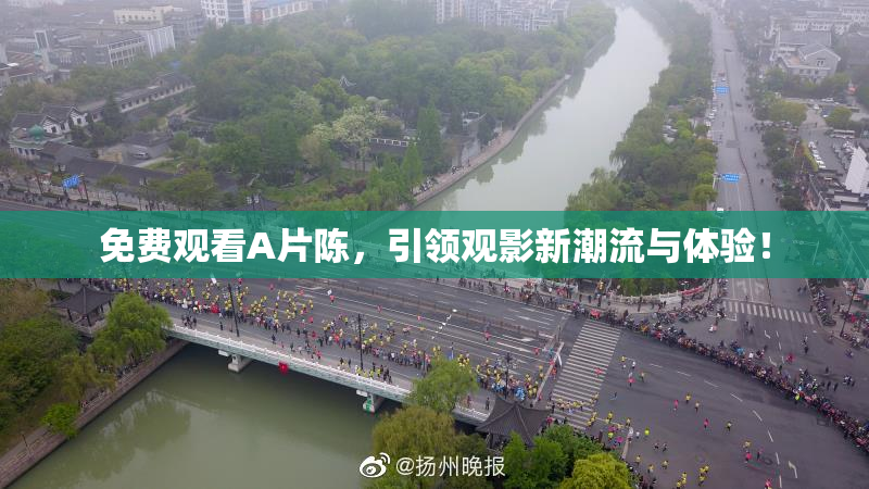 免费观看A片陈，引领观影新潮流与体验！