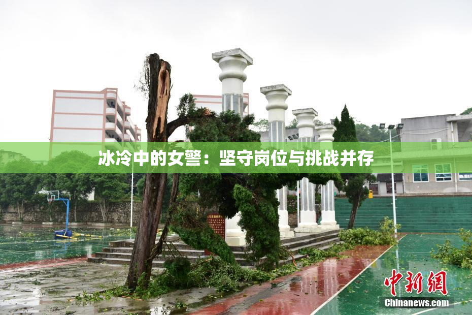 冰冷中的女警：坚守岗位与挑战并存