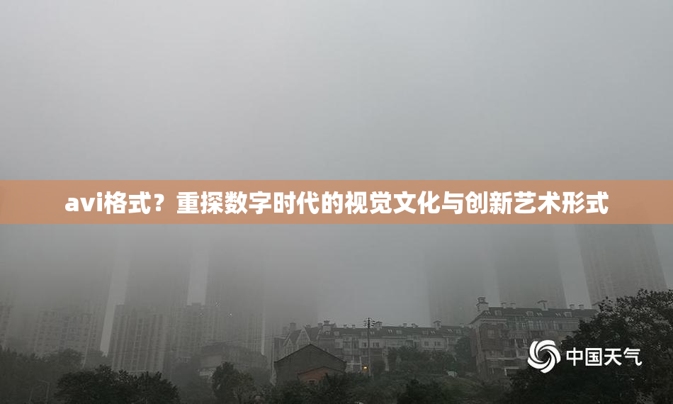 avi格式？重探数字时代的视觉文化与创新艺术形式