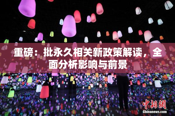 重磅：批永久相关新政策解读，全面分析影响与前景