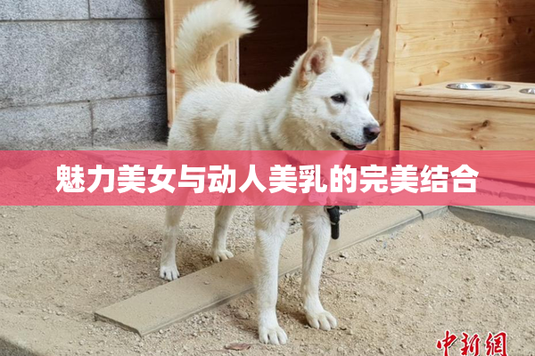 魅力美女与动人美乳的完美结合
