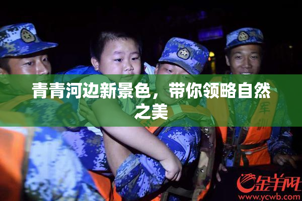 青青河边新景色，带你领略自然之美
