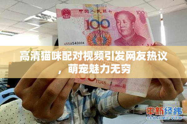 高清猫咪配对视频引发网友热议，萌宠魅力无穷