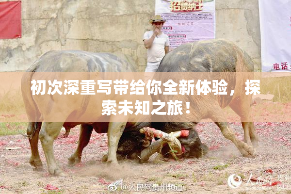 初次深重写带给你全新体验，探索未知之旅！