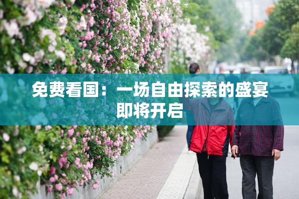 免费看国：一场自由探索的盛宴即将开启