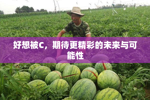 好想被C，期待更精彩的未来与可能性