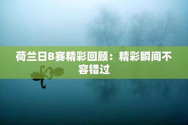 荷兰日B赛精彩回顾：精彩瞬间不容错过