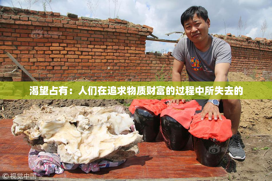 渴望占有：人们在追求物质财富的过程中所失去的