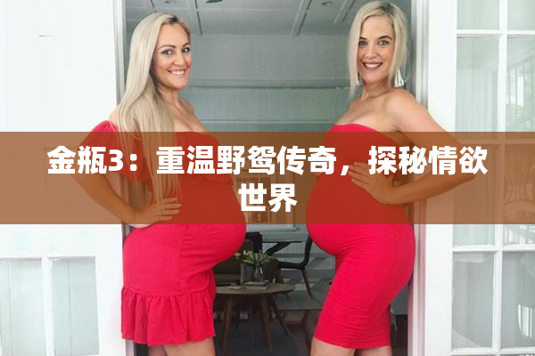 金瓶3：重温野鸳传奇，探秘情欲世界