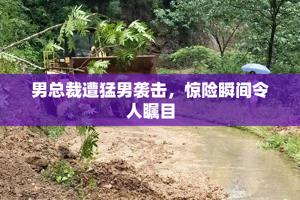 男总裁遭猛男袭击，惊险瞬间令人瞩目