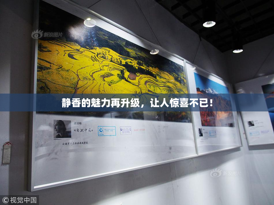 静香的魅力再升级，让人惊喜不已！