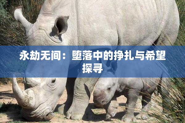 永劫无间：堕落中的挣扎与希望探寻