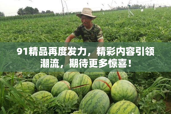 91精品再度发力，精彩内容引领潮流，期待更多惊喜！
