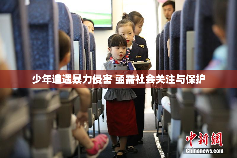 少年遭遇暴力侵害 亟需社会关注与保护