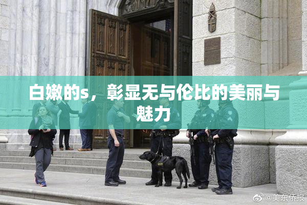 白嫩的s，彰显无与伦比的美丽与魅力