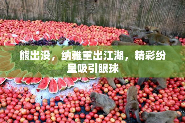 熊出没，纳雅重出江湖，精彩纷呈吸引眼球