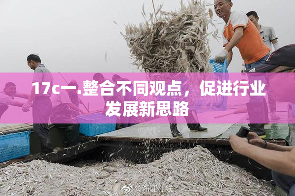 17c一.整合不同观点，促进行业发展新思路