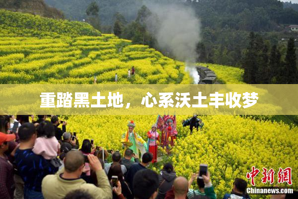 重踏黑土地，心系沃土丰收梦