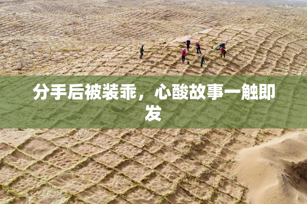 分手后被装乖，心酸故事一触即发