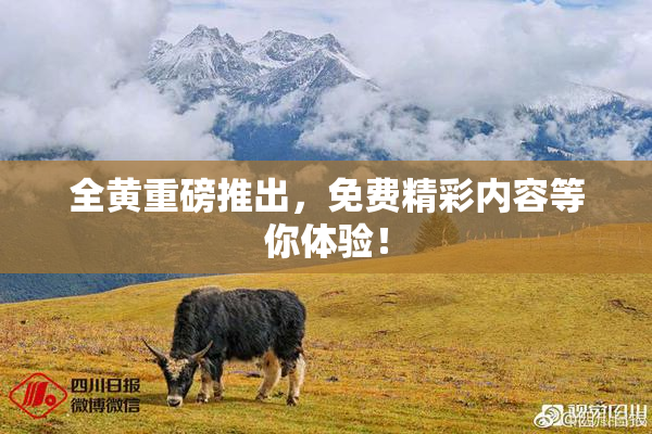 全黄重磅推出，免费精彩内容等你体验！