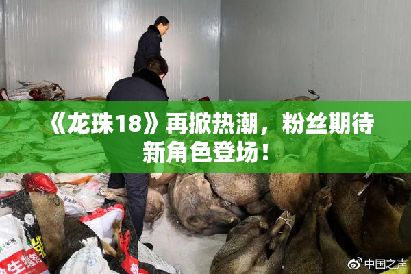 《龙珠18》再掀热潮，粉丝期待新角色登场！