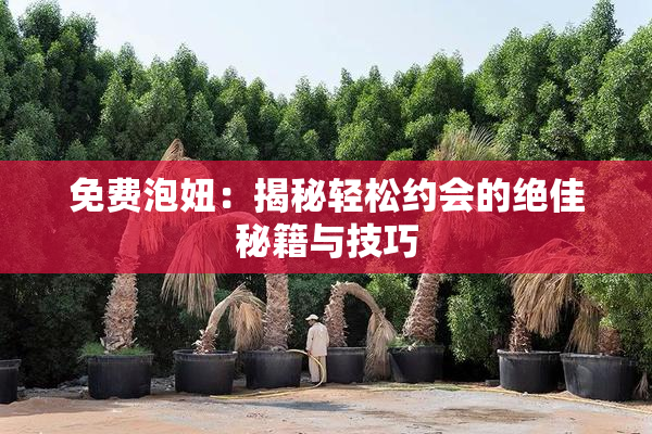 免费泡妞：揭秘轻松约会的绝佳秘籍与技巧