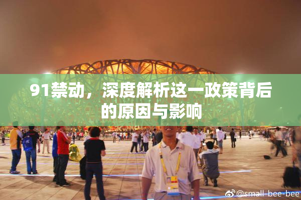 91禁动，深度解析这一政策背后的原因与影响