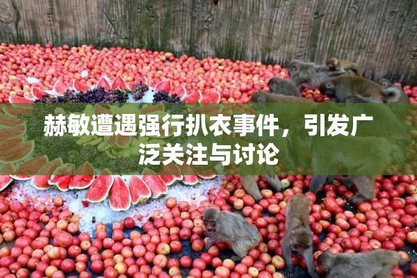 赫敏遭遇强行扒衣事件，引发广泛关注与讨论