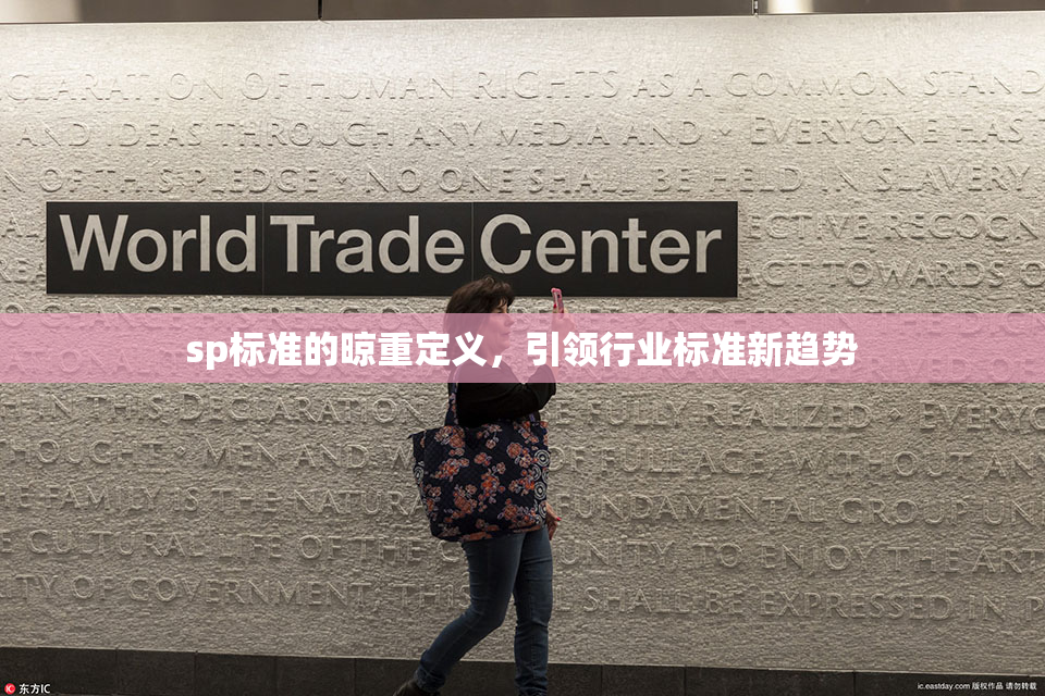sp标准的晾重定义，引领行业标准新趋势