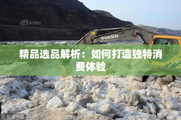 精品选品解析：如何打造独特消费体验