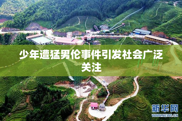 少年遭猛男伦事件引发社会广泛关注