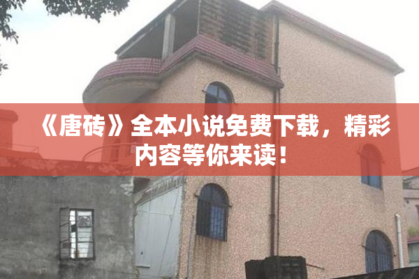 《唐砖》全本小说免费下载，精彩内容等你来读！