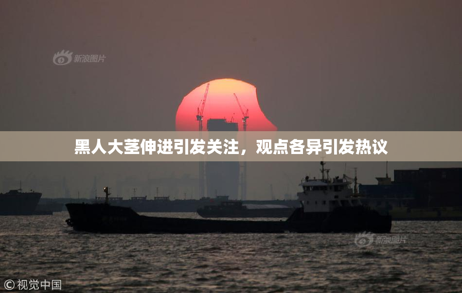 黑人大茎伸进引发关注，观点各异引发热议