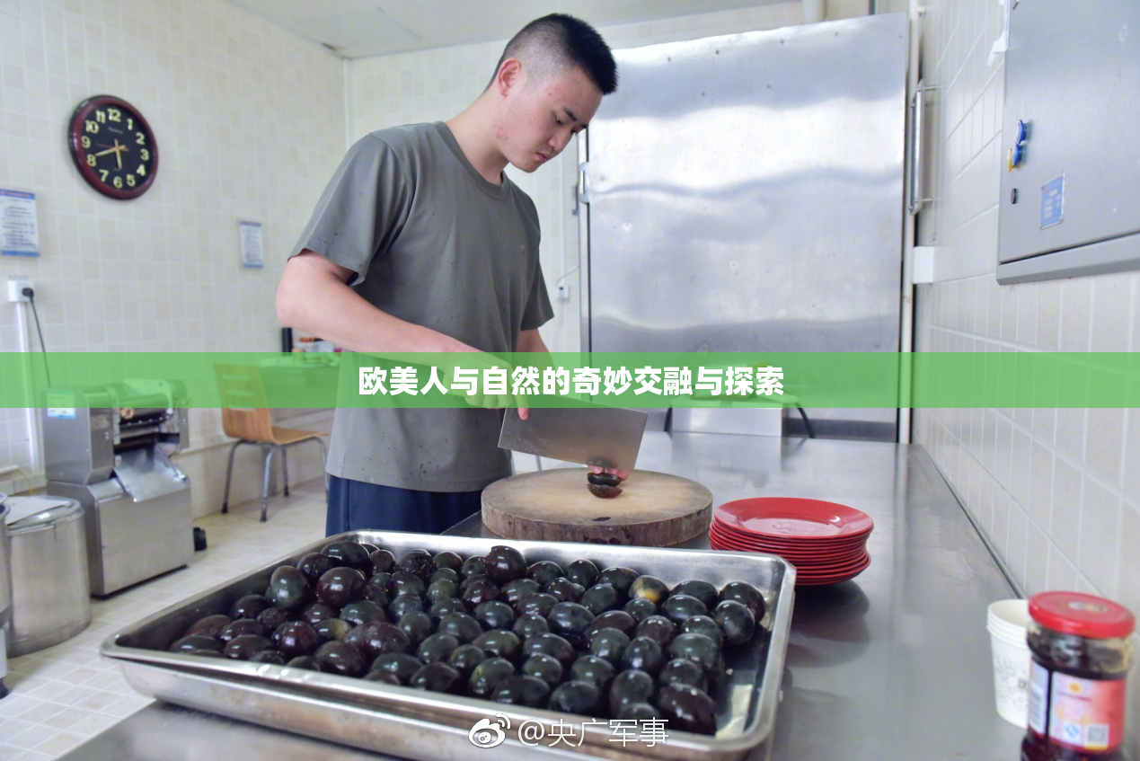 欧美人与自然的奇妙交融与探索