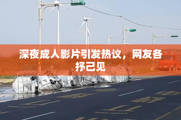 深夜成人影片引发热议，网友各抒己见