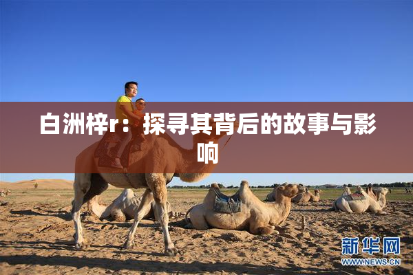 白洲梓r：探寻其背后的故事与影响