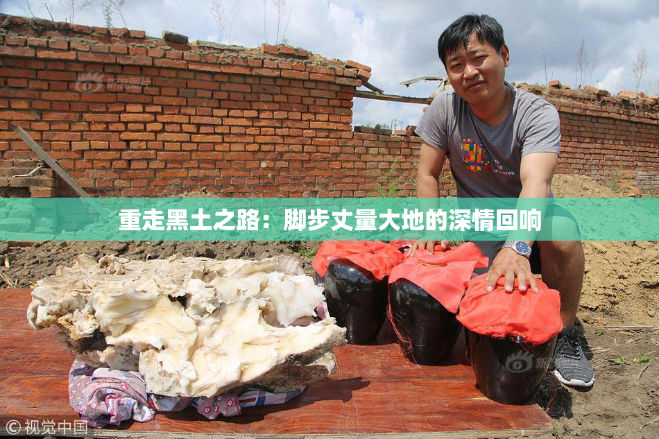 重走黑土之路：脚步丈量大地的深情回响