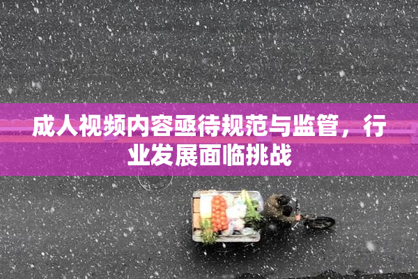 成人视频内容亟待规范与监管，行业发展面临挑战