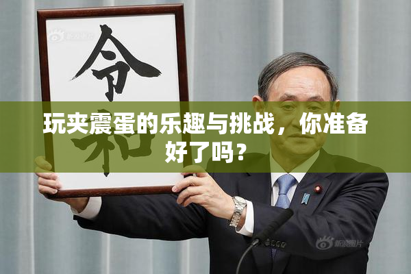 玩夹震蛋的乐趣与挑战，你准备好了吗？