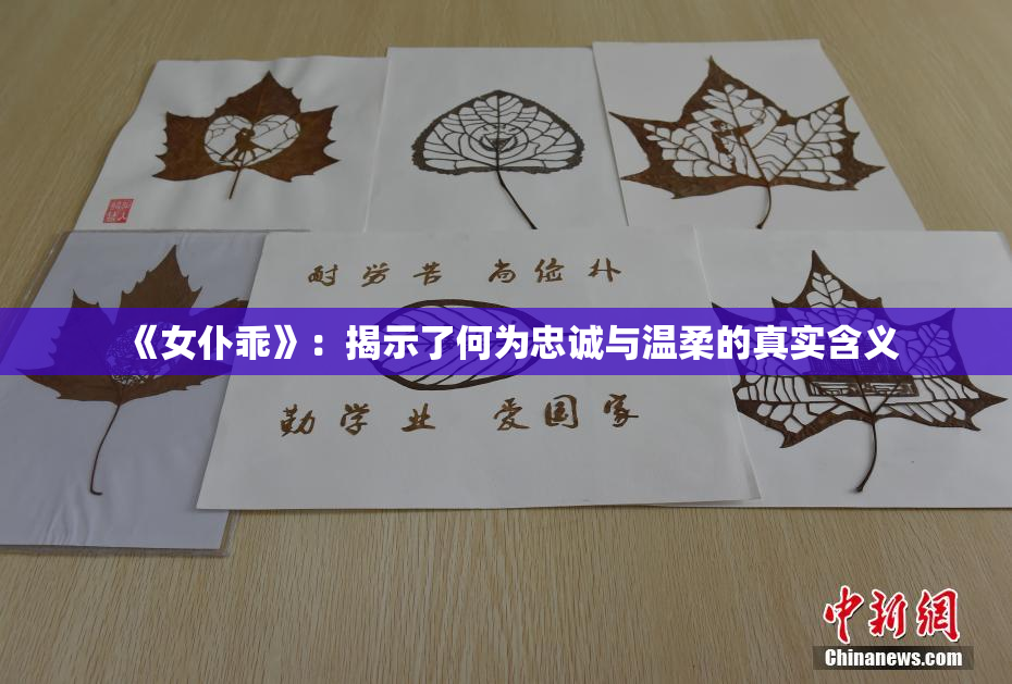 《女仆乖》：揭示了何为忠诚与温柔的真实含义