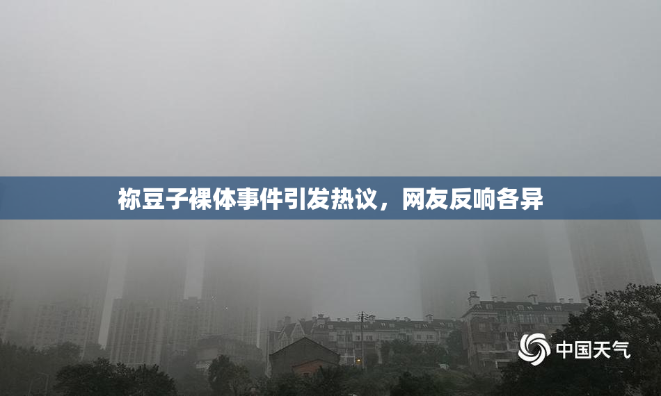 祢豆子裸体事件引发热议，网友反响各异