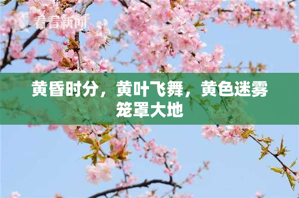 黄昏时分，黄叶飞舞，黄色迷雾笼罩大地