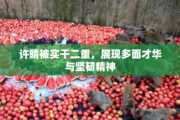 许晴被实干二重，展现多面才华与坚韧精神
