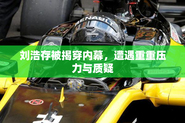 刘浩存被揭穿内幕，遭遇重重压力与质疑