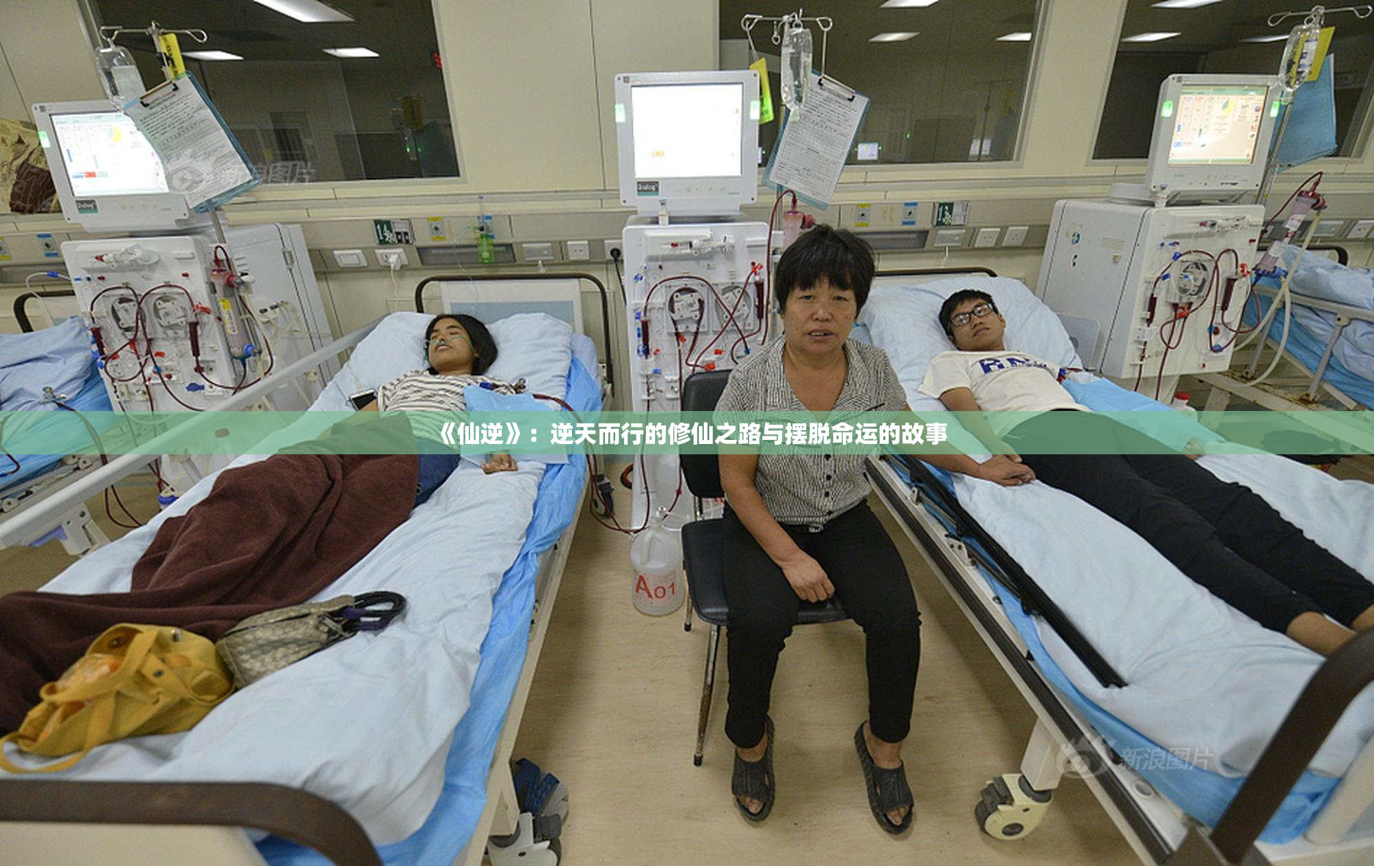 《仙逆》：逆天而行的修仙之路与摆脱命运的故事
