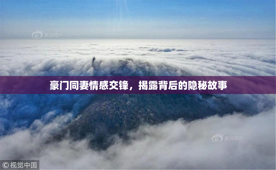 豪门同妻情感交锋，揭露背后的隐秘故事